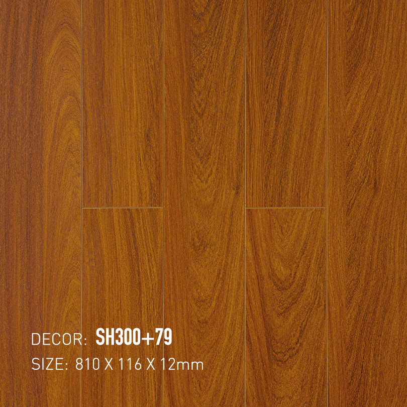 Sàn Gỗ ShopHouse SH300-79