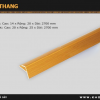Nẹp nhựa cầu thang CT-227